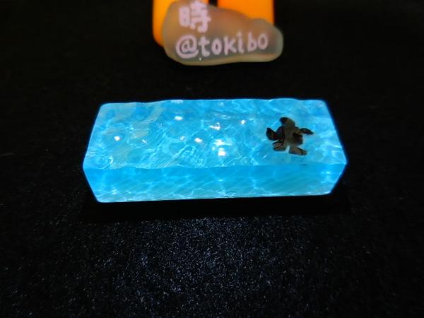 饰品：来自大海的礼物(图9)