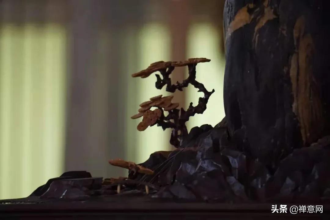 大善无言，至爱无声(图2)