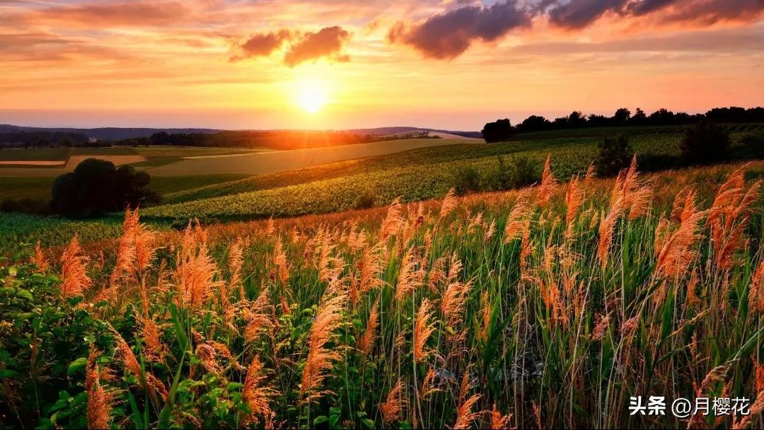 文案｜关于黄昏落日的绝美文案，治愈，浪漫(图1)