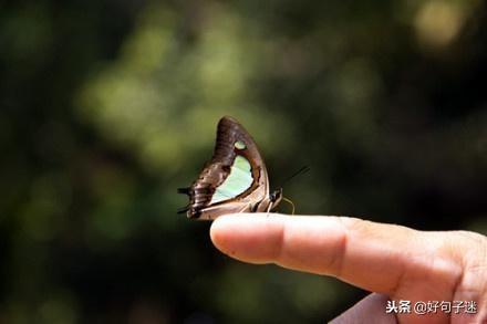 特别想念一个人的说说句子，总有一句写进了你的心窝！(图6)