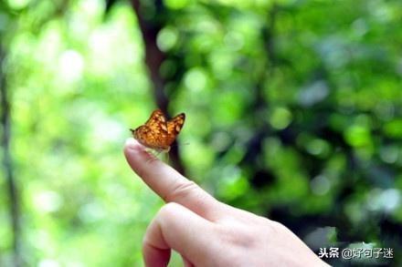 特别想念一个人的说说句子，总有一句写进了你的心窝！(图9)