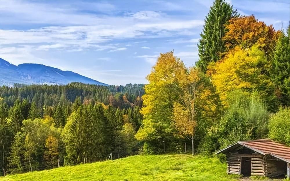 气冲业绩的短句：业绩的高度取决于你敢不敢跳出舒适区(图5)