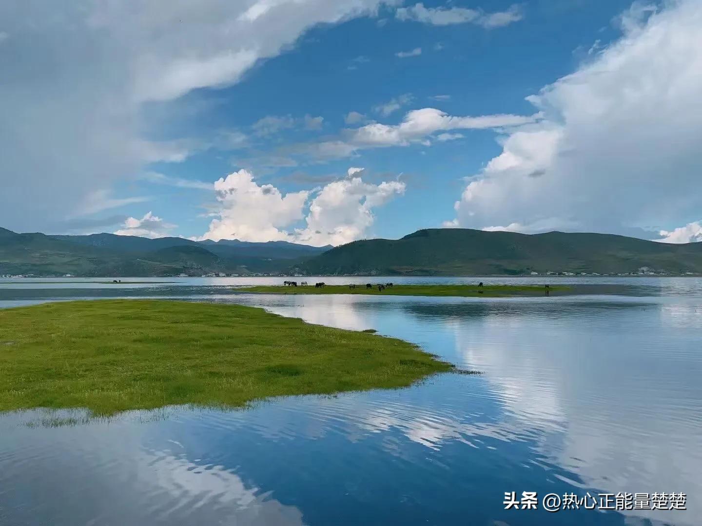 一片落叶，渲染了秋色；一季落花，唯美了岁月(图2)