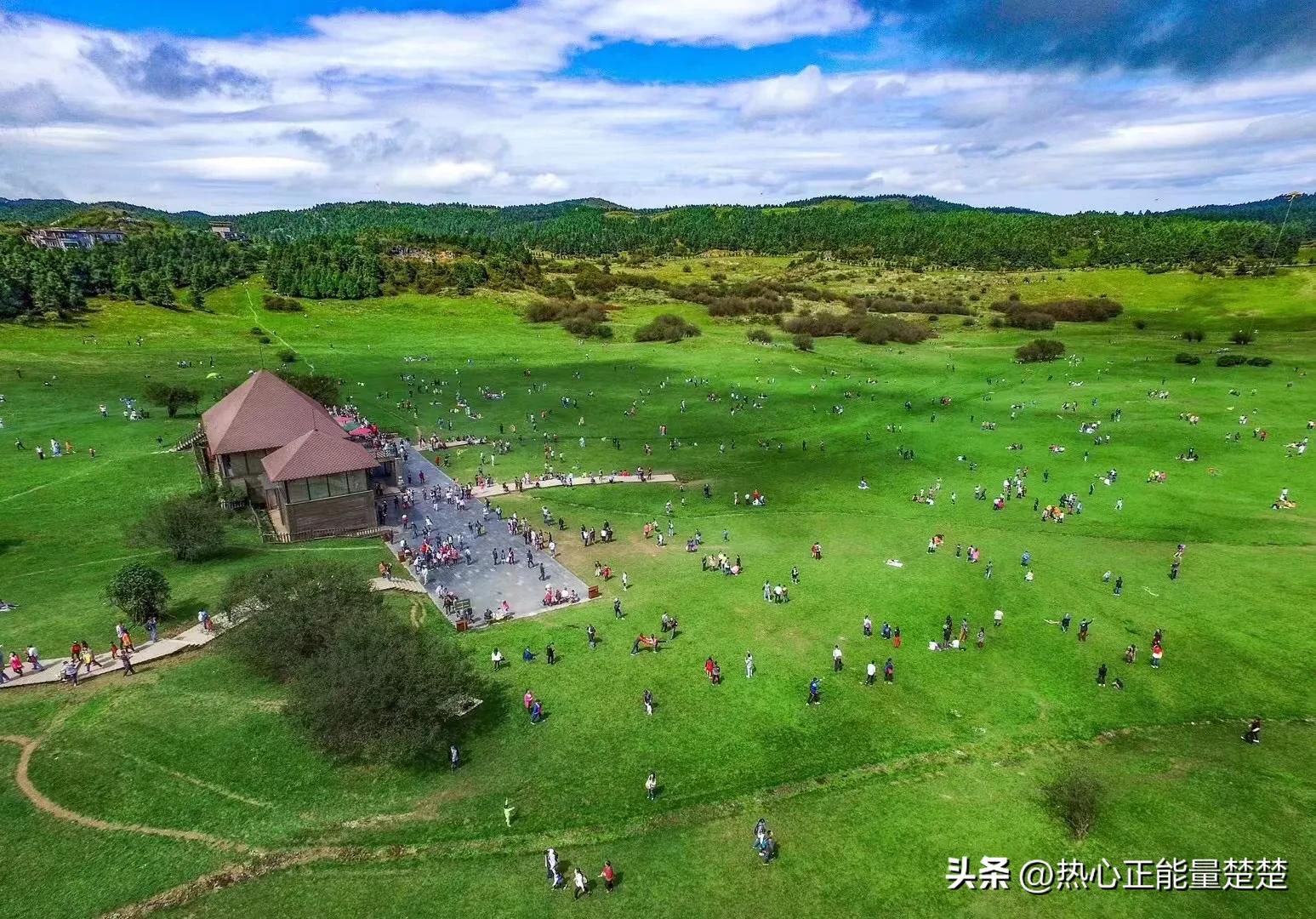 一片落叶，渲染了秋色；一季落花，唯美了岁月(图3)