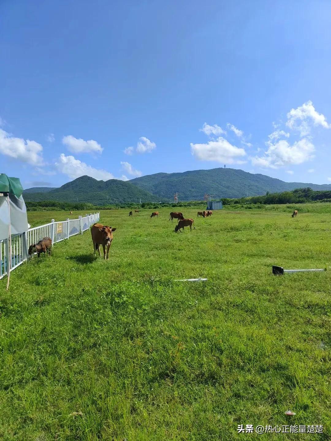 一片落叶，渲染了秋色；一季落花，唯美了岁月(图4)