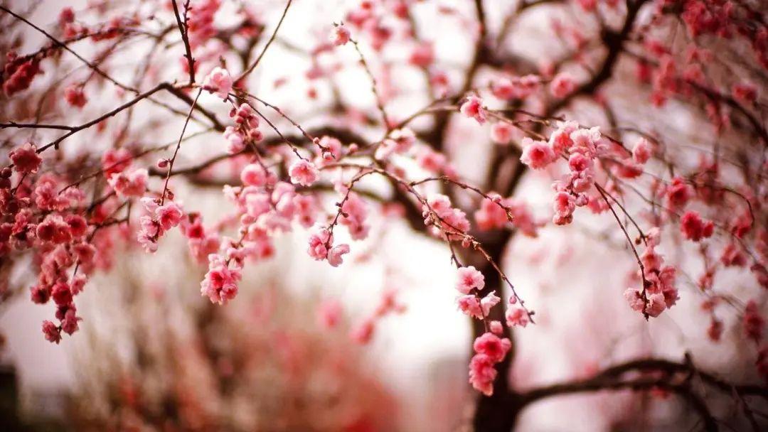 家庭氛围文案短句：创造温馨的家庭氛围，让生活更美好(图3)