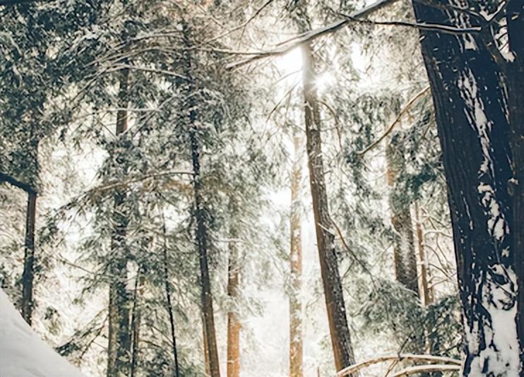 十首最美的冬日暖阳诗词：心中有太阳，人间不怕寒！(图2)