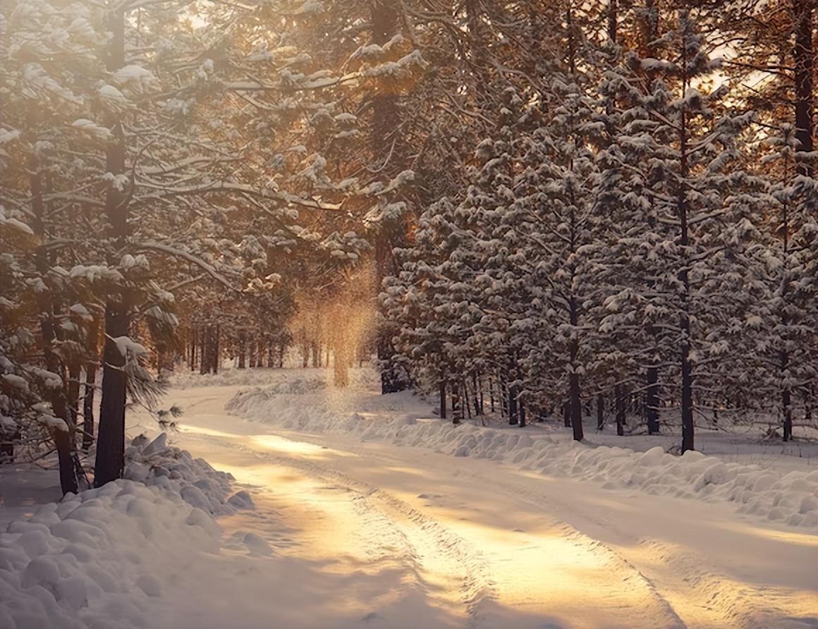 十首最美的冬日暖阳诗词：心中有太阳，人间不怕寒！(图3)