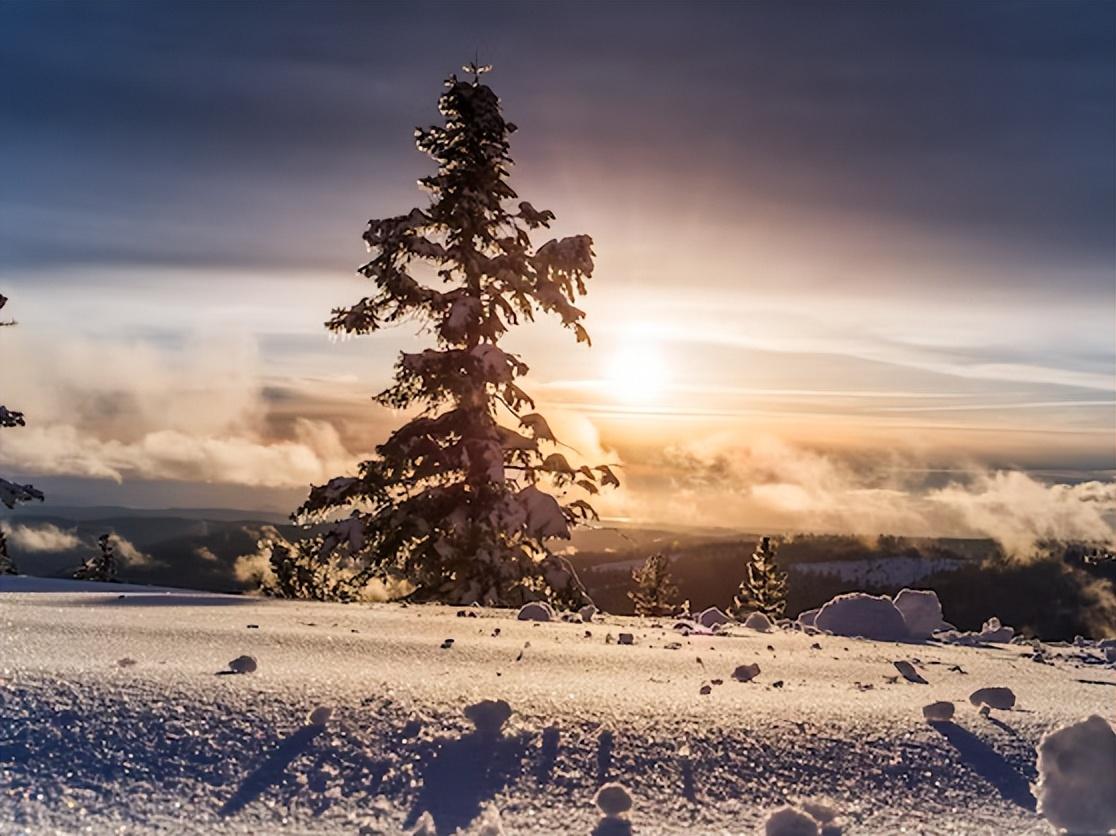 十首最美的冬日暖阳诗词：心中有太阳，人间不怕寒！(图4)