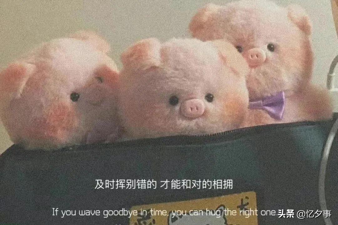 情感文案｜“二十七岁的我不会再爱你，十七岁的我永远爱你。”(图2)