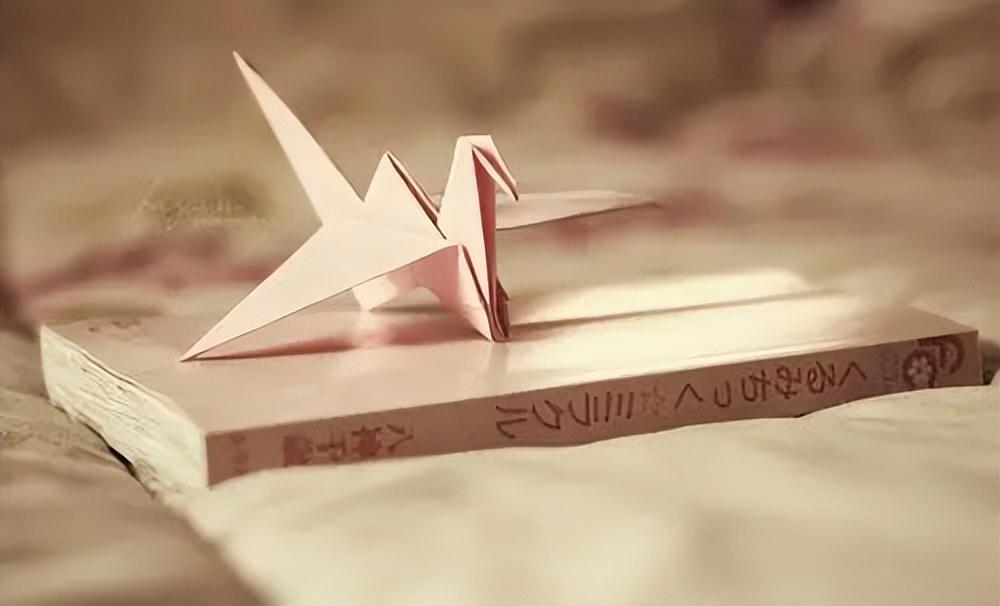 十一小长假旅行的唯美句子，小众文艺又高级，你喜欢哪句?(图5)