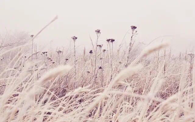 开启亮丽人生的第一步，你需要先学会“它”，成功的大佬们都懂。(图4)