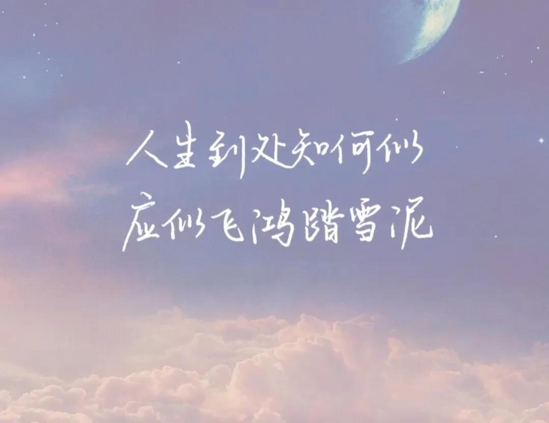 励志语录 生活原本沉闷，但跑起来就会有风，请相信星光不负赶路人(图10)