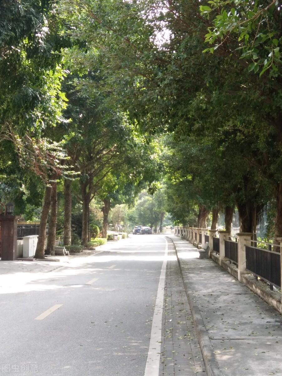 星光不负赶路者，时光不负有心人，你若盛开，清风自来(图1)