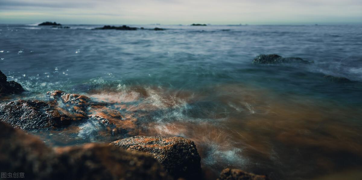 星光不负赶路者，时光不负有心人，你若盛开，清风自来(图3)