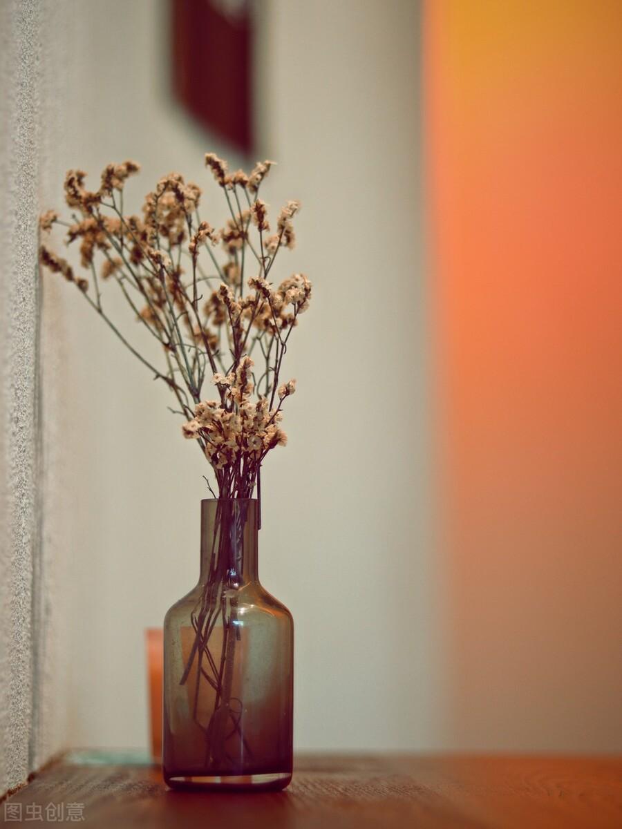 星光不负赶路者，时光不负有心人，你若盛开，清风自来(图6)