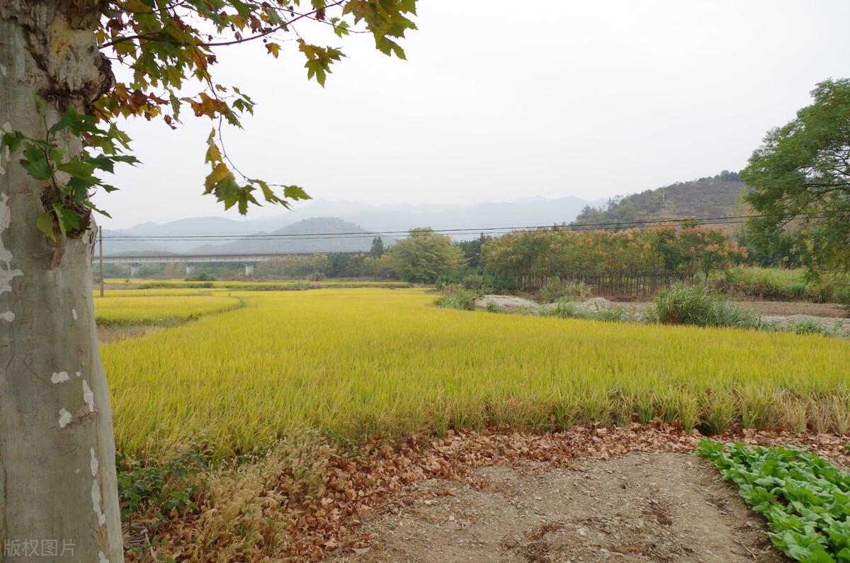 星光不负赶路者，时光不负有心人，你若盛开，清风自来(图7)