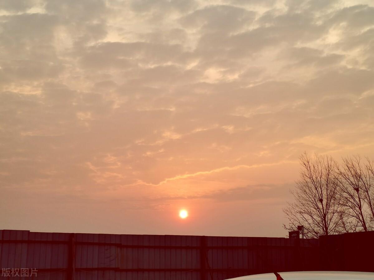 星光不负赶路者，时光不负有心人，你若盛开，清风自来(图8)