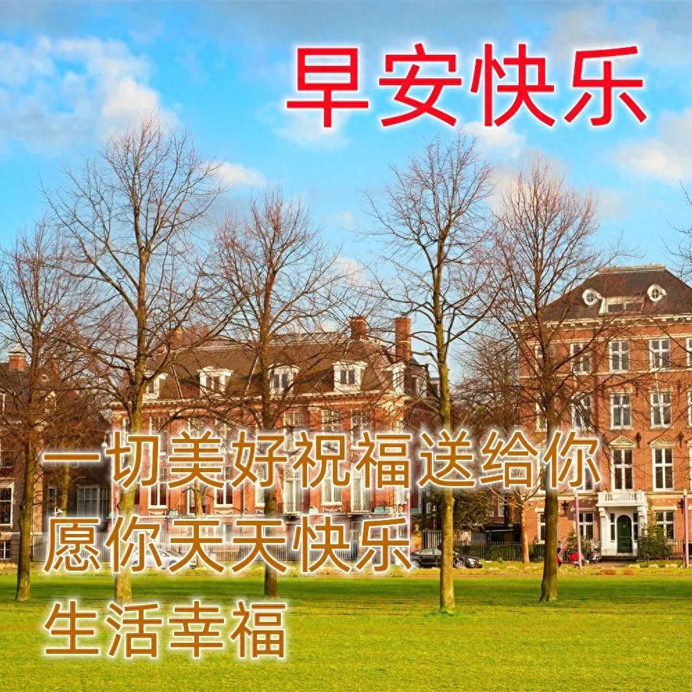 早安吉祥：新的每一天，请勇敢去尝试，拼命去追寻，早上好！(图1)