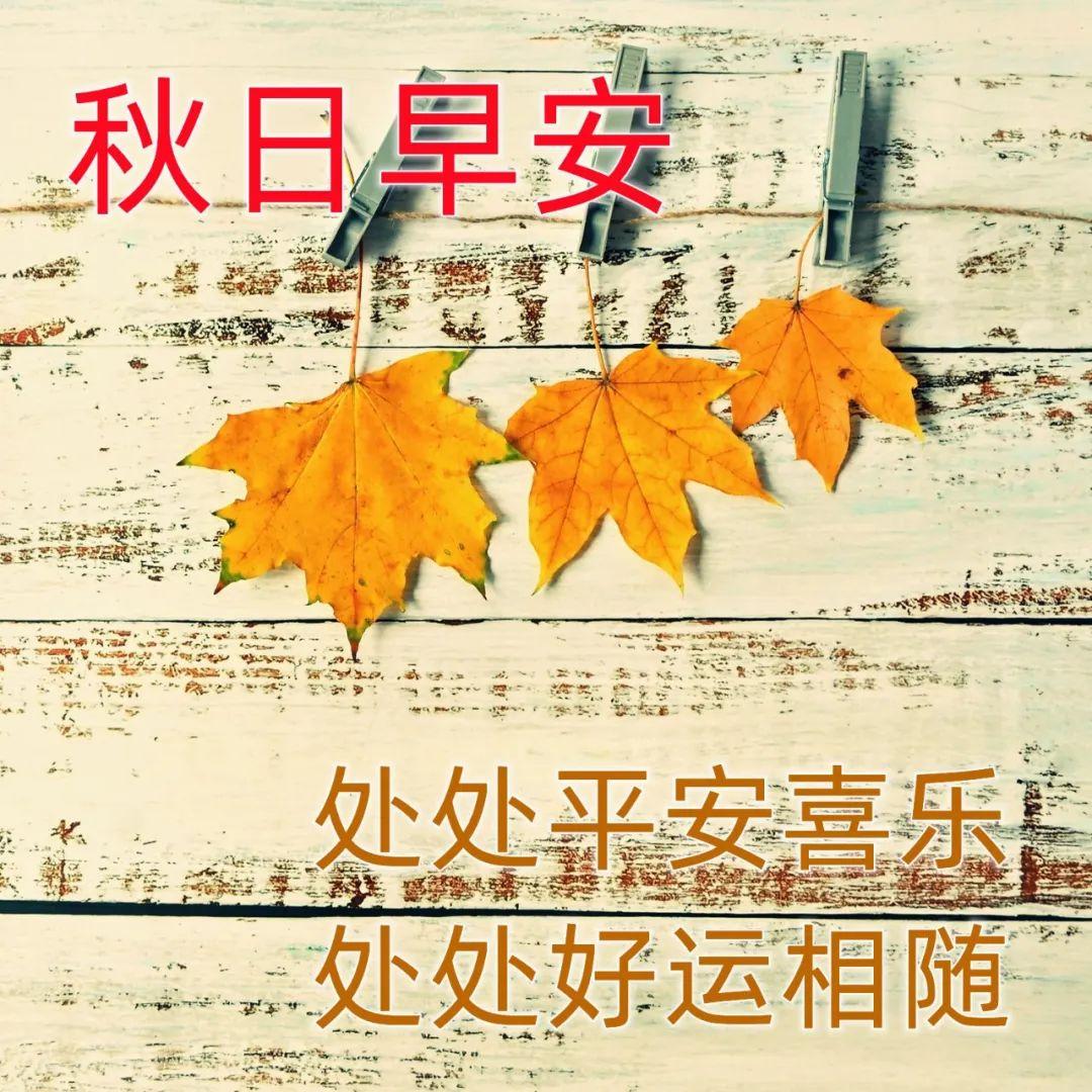 早安吉祥：新的每一天，请勇敢去尝试，拼命去追寻，早上好！(图5)