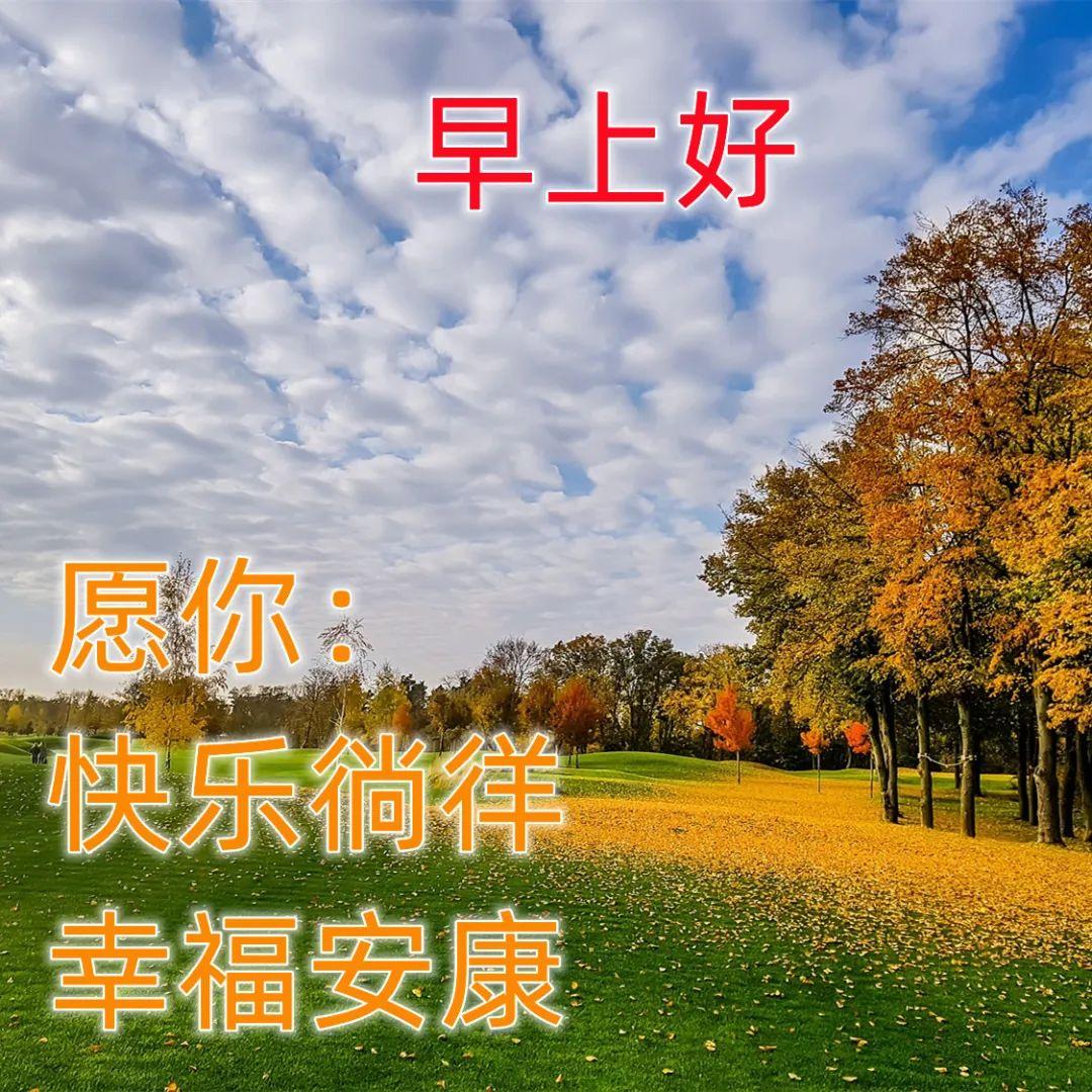 早安吉祥：新的每一天，请勇敢去尝试，拼命去追寻，早上好！(图6)