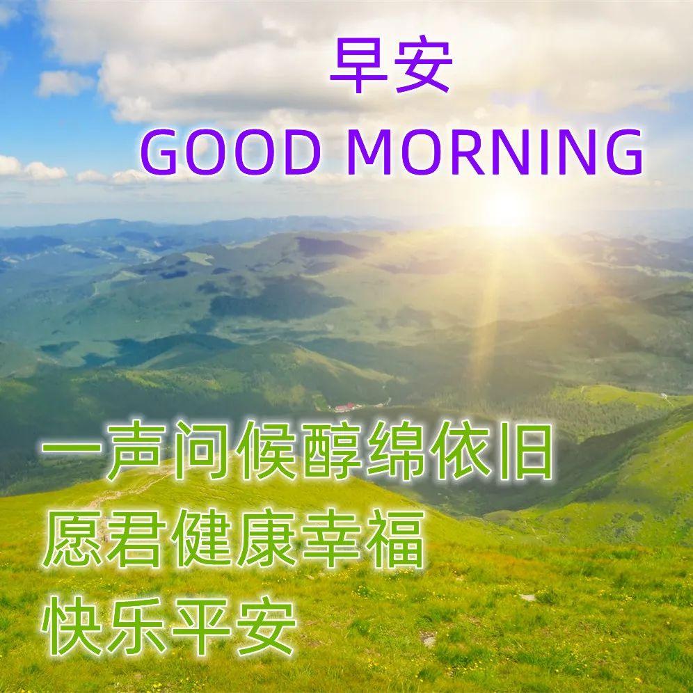 早安吉祥：新的每一天，请勇敢去尝试，拼命去追寻，早上好！(图7)