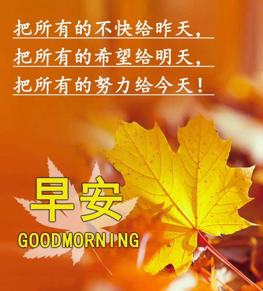 早安吉祥：新的每一天，请勇敢去尝试，拼命去追寻，早上好！(图8)