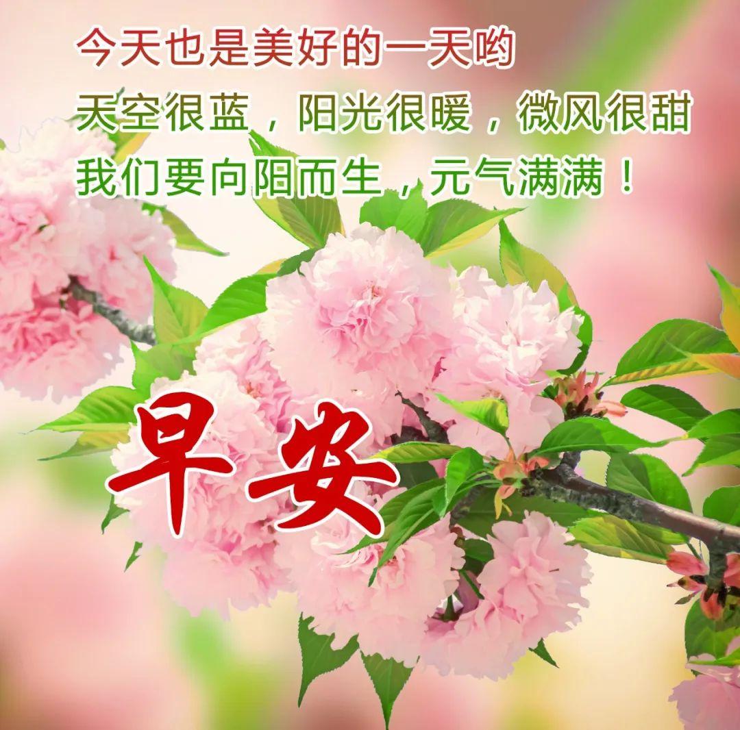 早安吉祥：新的每一天，请勇敢去尝试，拼命去追寻，早上好！(图9)