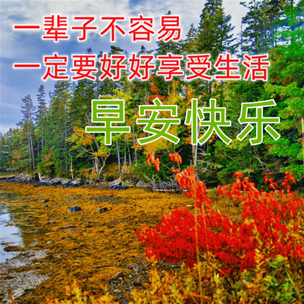 早安吉祥：新的每一天，请勇敢去尝试，拼命去追寻，早上好！(图10)