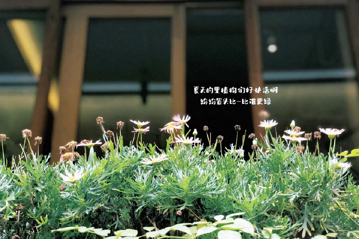 〖郁闷心情低落的语句〗(图5)