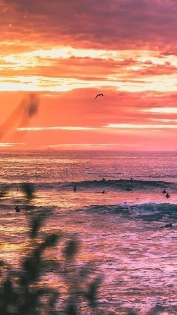 冬天渐行渐远，黄昏依旧唯美(图2)