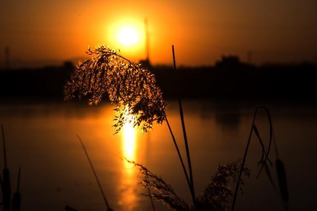 冬天渐行渐远，黄昏依旧唯美(图5)