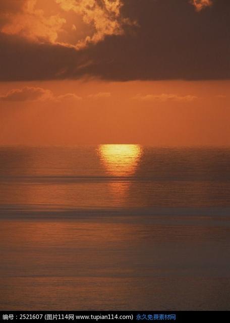 冬天渐行渐远，黄昏依旧唯美(图6)