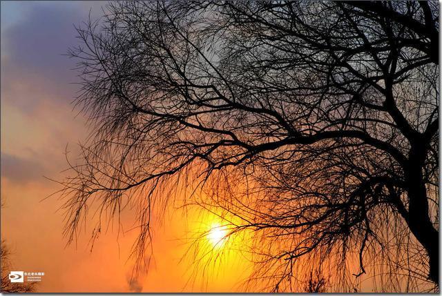 冬天渐行渐远，黄昏依旧唯美(图7)