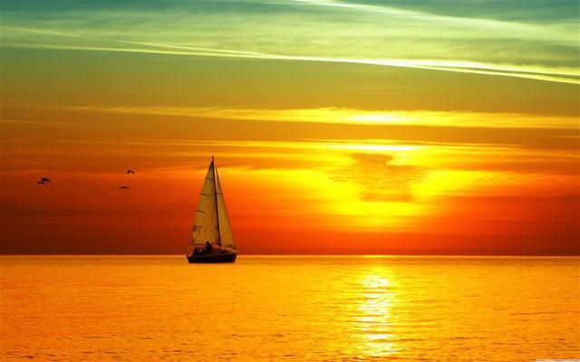 冬天渐行渐远，黄昏依旧唯美(图8)