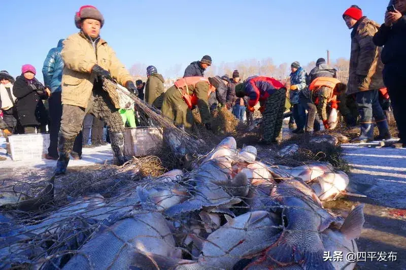 【映像四平⑦】波光潋滟，惊动了时光，美丽了四季(图21)