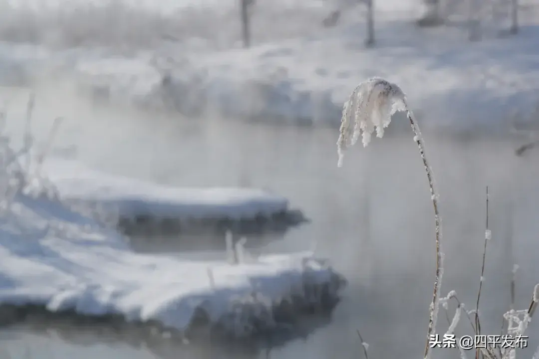 【映像四平⑦】波光潋滟，惊动了时光，美丽了四季(图36)