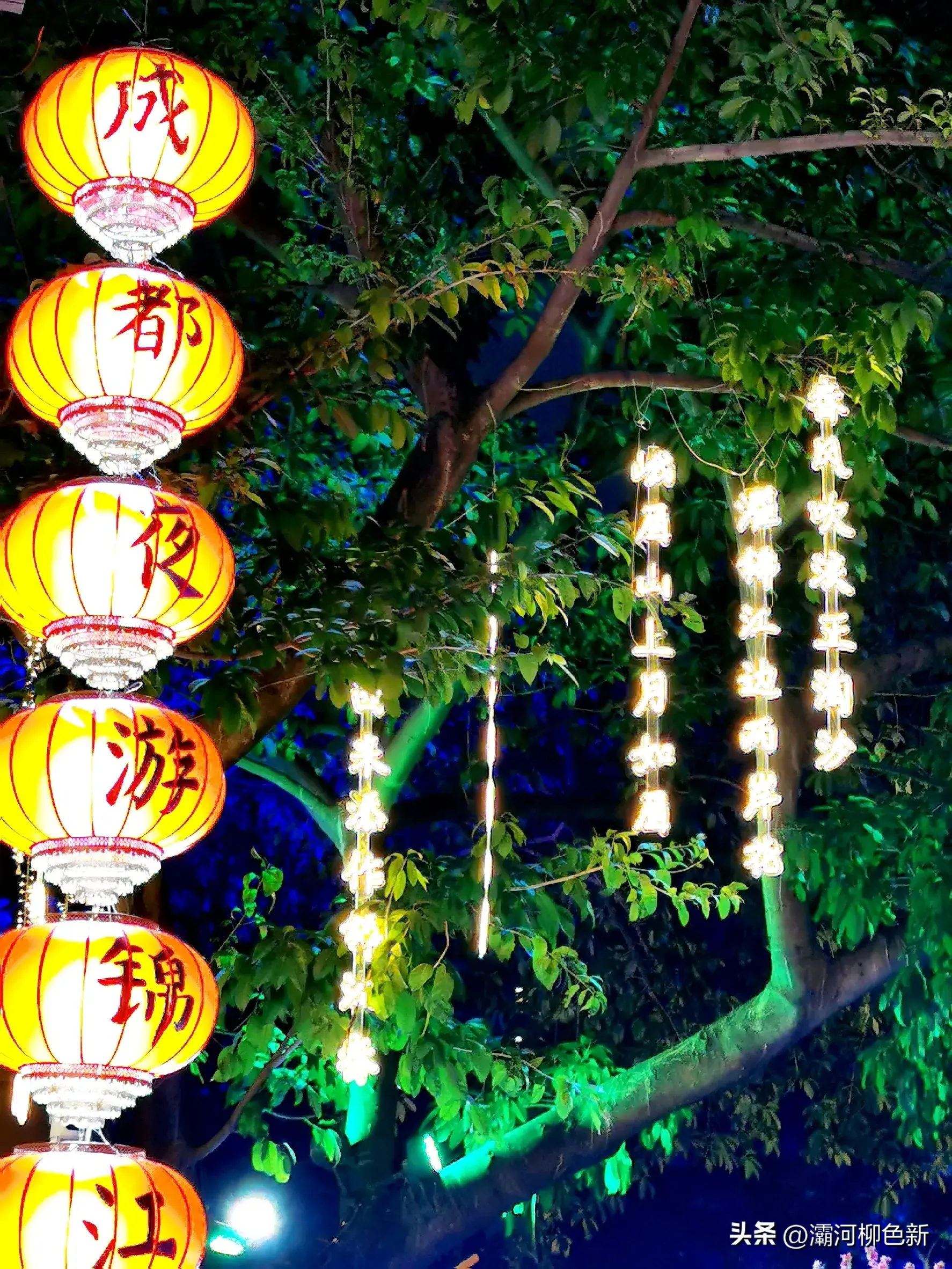 乌篷船摇曳锦江两岸璀璨,舟舸逶迤波光潋滟(图1)