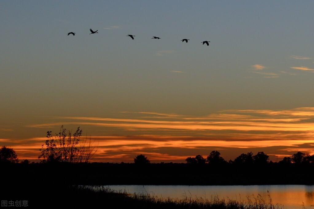 “与君世世为兄弟，更结来世未了因”——苏轼、苏辙的千古兄弟情(图7)
