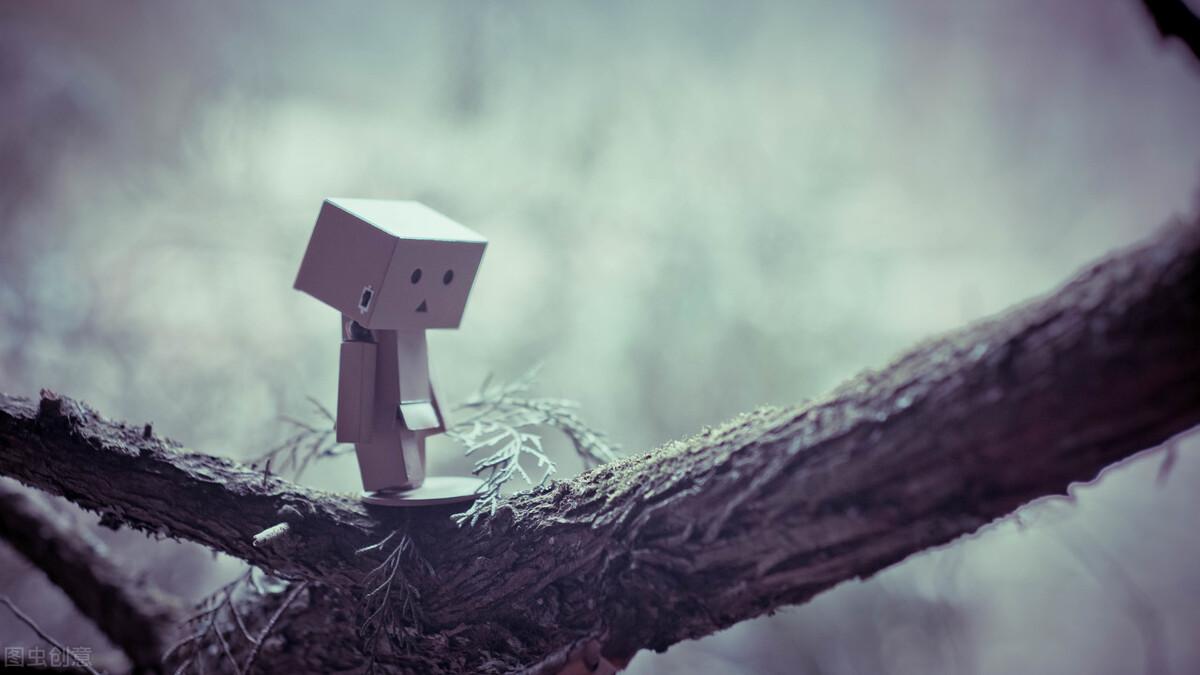 “与君世世为兄弟，更结来世未了因”——苏轼、苏辙的千古兄弟情(图12)