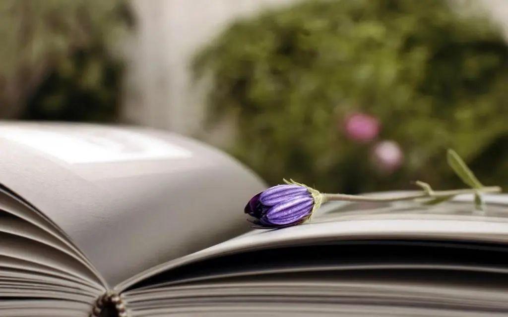 初恋的感觉唯美的句子：初恋的魔力，唯美时光中的感动之旅(图8)