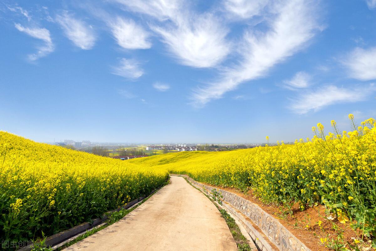 从前很爱你，现在很想你，往后余生，你依旧是我唯一的惦记(图1)