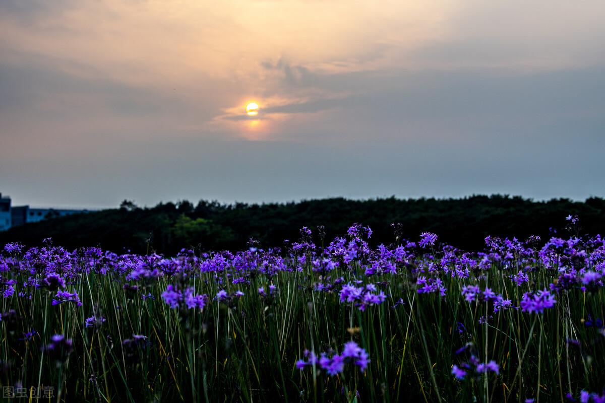 从前很爱你，现在很想你，往后余生，你依旧是我唯一的惦记(图2)