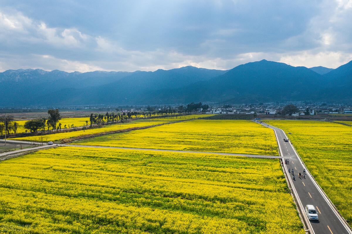 从前很爱你，现在很想你，往后余生，你依旧是我唯一的惦记(图4)