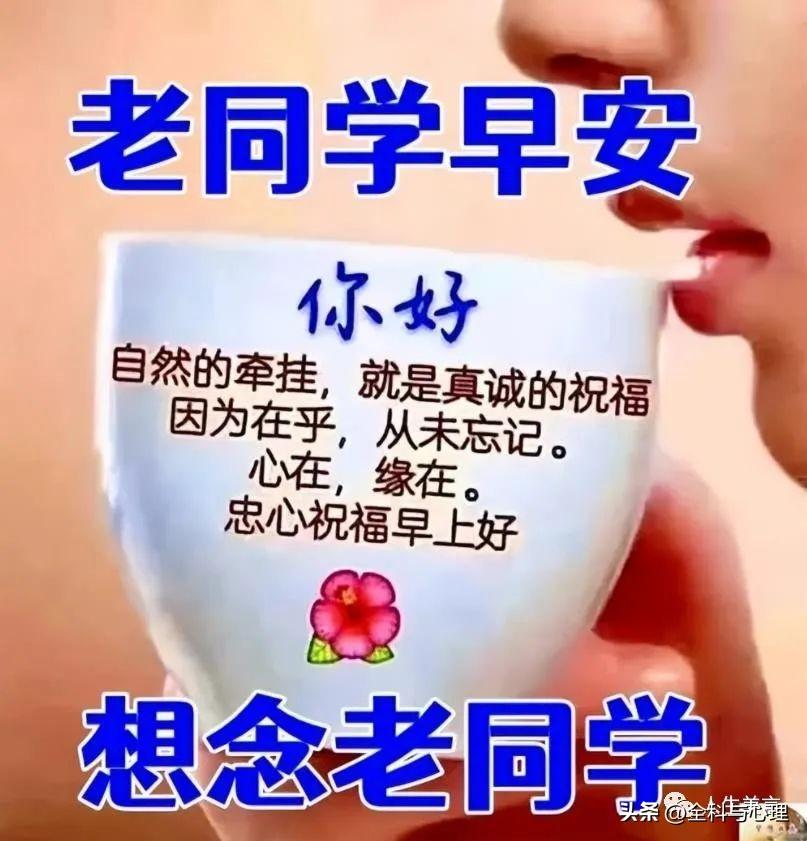 一天一句心情早安语，清晨励志寄语每日一发(图3)