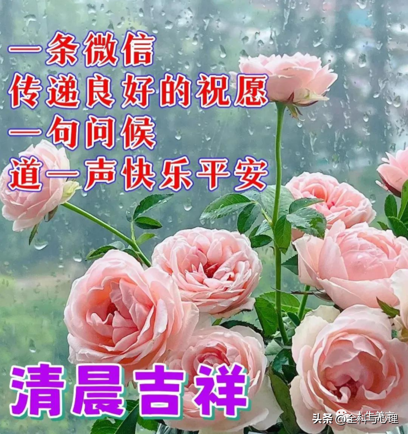 一天一句心情早安语，清晨励志寄语每日一发(图5)