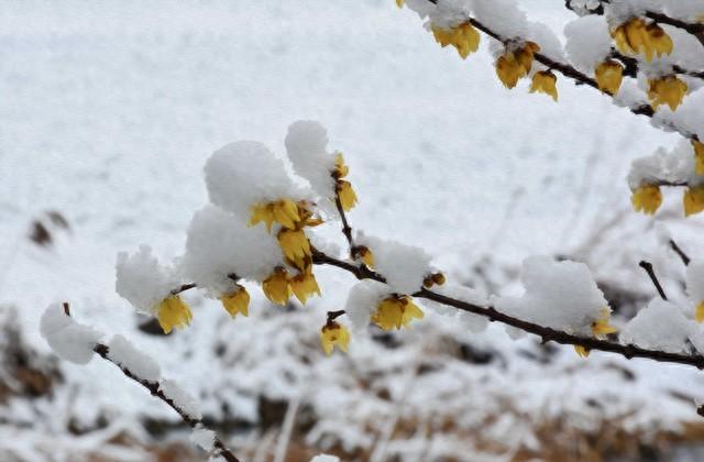 红尘轮回转，醉卧夜难眠(图1)