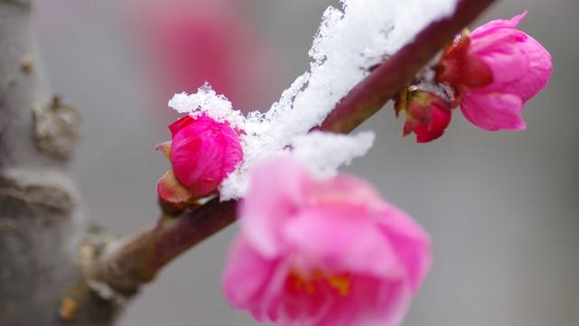 红尘轮回转，醉卧夜难眠(图4)