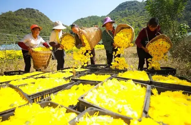 红尘中，四季更迭，生命轮回，时光流转。天地相遇，山河永恒。(图2)