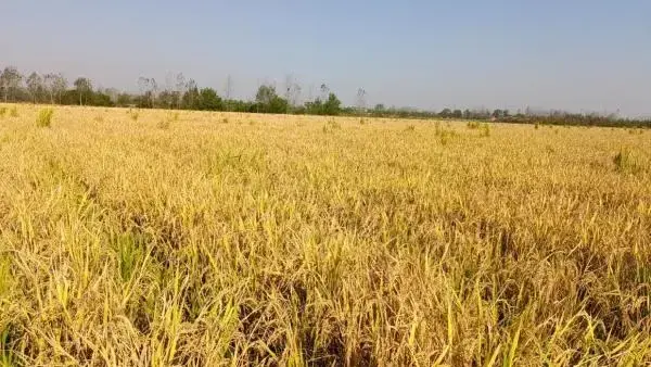 红尘中，四季更迭，生命轮回，时光流转。天地相遇，山河永恒。(图3)